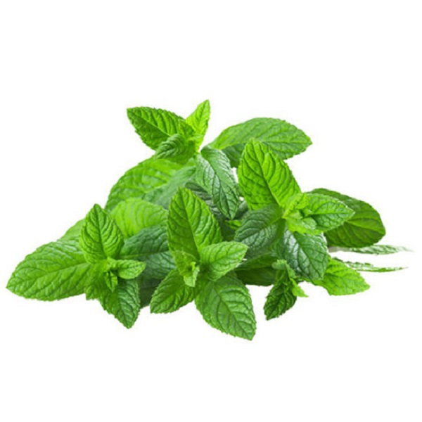 Mentha arvensis oil