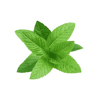 Indian spearmint oil